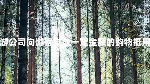 旅游公司向游客發(fā)放一定金額的購物抵用券