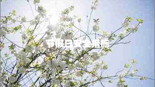 節假日安全措施