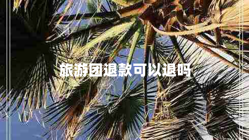 旅游團退款可以退嗎