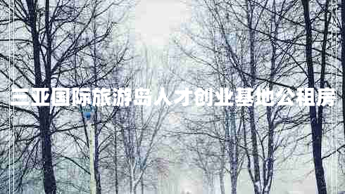 三亞國際旅游島人才創(chuàng  )業(yè)基地公租房