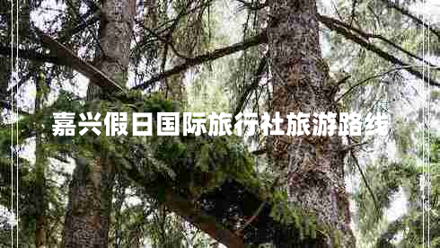 嘉興假日國際旅行社旅游路線(xiàn)