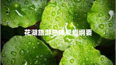 花湖旅游總體規劃綱要