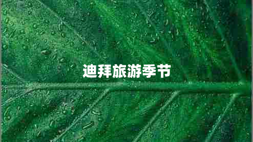 迪拜旅游季節