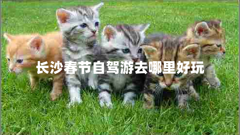 長(cháng)沙春節自駕游去哪里好玩