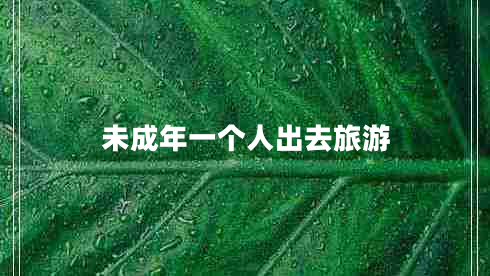 未成年一個(gè)人出去旅游