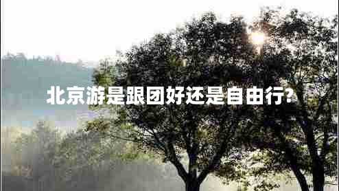 北京游是跟團好還是自由行?