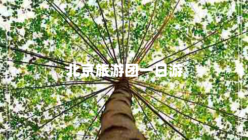 北京旅游團一日游