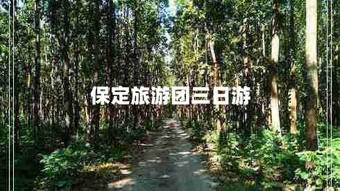 保定旅游團三日游