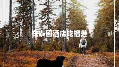 在泰國酒店吃榴蓮