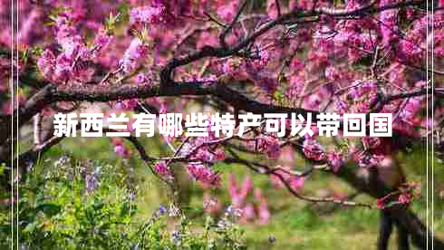 新西蘭有哪些特產(chǎn)可以帶回國