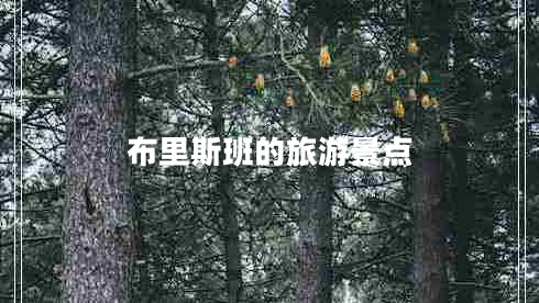 布里斯班的旅游景點(diǎn)