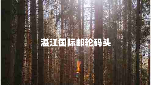 湛江國(guó)際郵輪碼頭