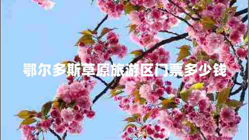 鄂爾多斯草原旅游區門(mén)票多少錢(qián)
