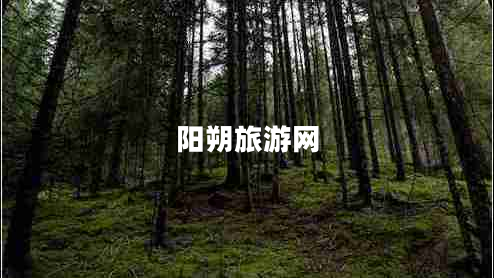 陽(yáng)朔旅游網(wǎng)
