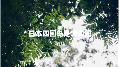 日本四國島是哪四國