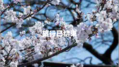 旅行已結束