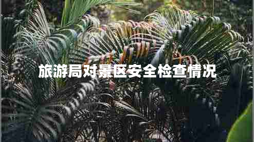 旅游局對景區安全檢查情況