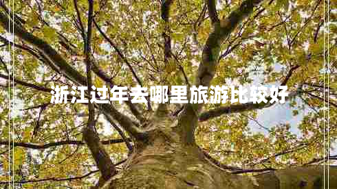 浙江過(guò)年去哪里旅游比較好