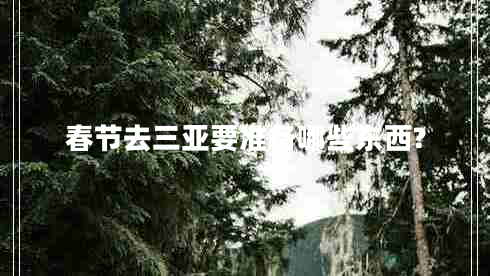 春節去三亞要準備哪些東西?