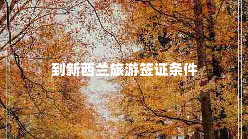到新西蘭旅游簽證條件