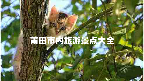 莆田市內旅游景點(diǎn)大全
