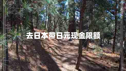 去日本帶日元現金限額