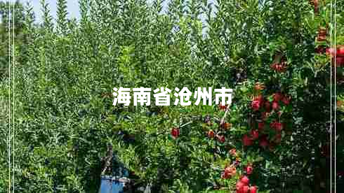 海南省滄州市
