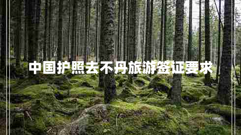 中國護照去不丹旅游簽證要求