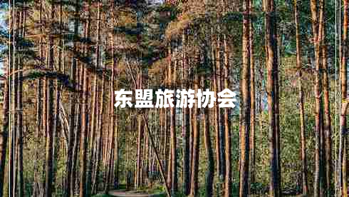 東盟旅游協(xié)會(huì )