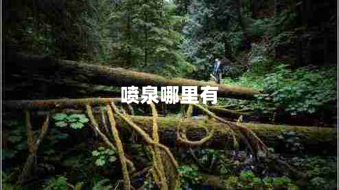 噴泉哪里有