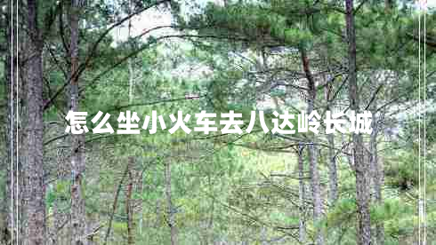 怎么坐小火車(chē)去八達嶺長(cháng)城