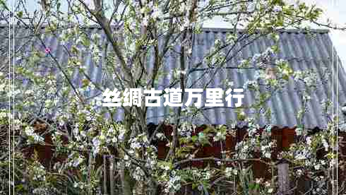絲綢古道萬(wàn)里行