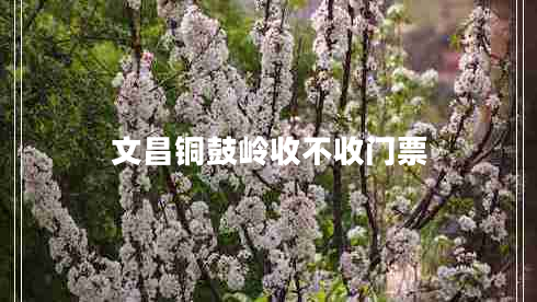 文昌銅鼓嶺收不收門(mén)票