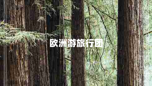 歐洲游旅行團