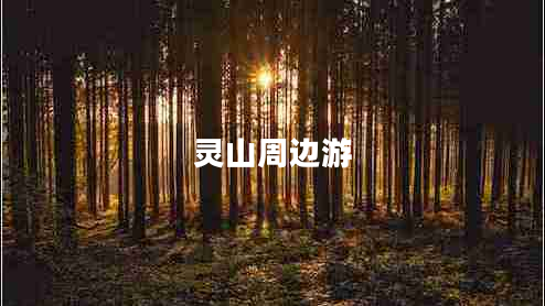 靈山周邊游
