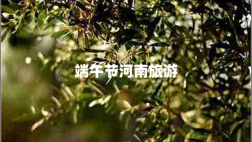 端午節河南旅游