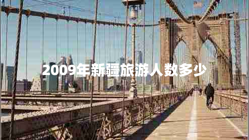 2009年新疆旅游人數多少
