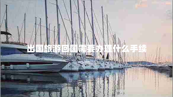 出國(guó)旅游回國(guó)需要辦理什么手續(xù)