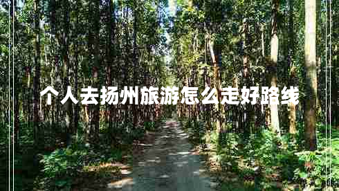 個(gè)人去揚州旅游怎么走好路線(xiàn)
