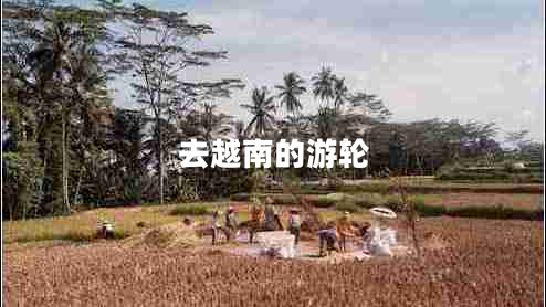 去越南的游輪
