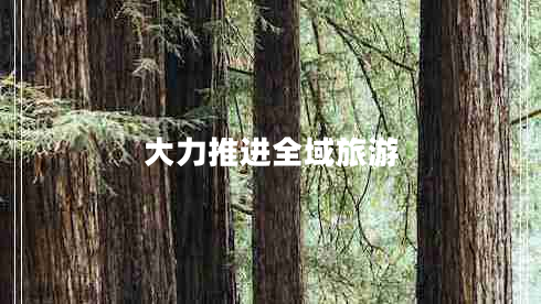 大力推進(jìn)全域旅游