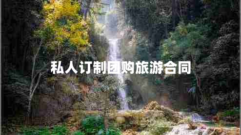 私人訂制團購旅游合同