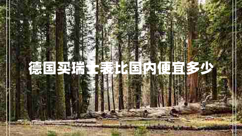 德國買(mǎi)瑞士表比國內便宜多少