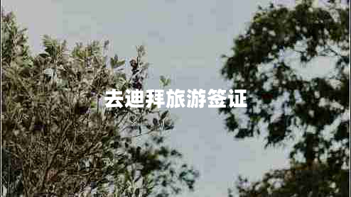 去迪拜旅游簽證