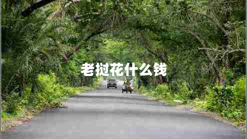 老撾花什么錢(qián)