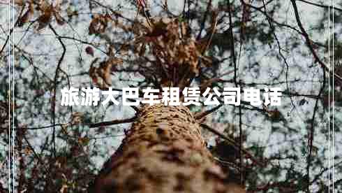 旅游大巴車(chē)租賃公司電話(huà)