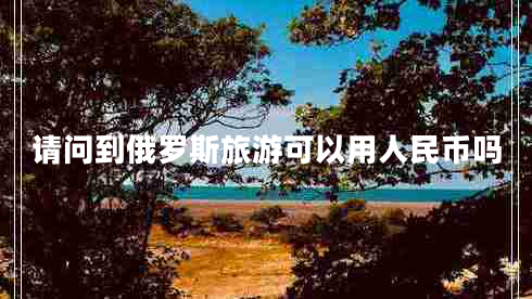 請問(wèn)到俄羅斯旅游可以用人民幣嗎