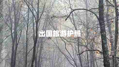出國旅游護照