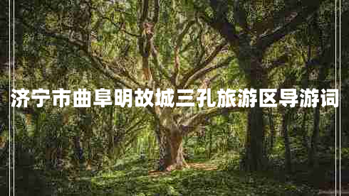 濟寧市曲阜明故城三孔旅游區導游詞