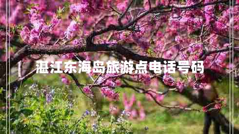 湛江東海島旅游點(diǎn)電話(huà)號碼